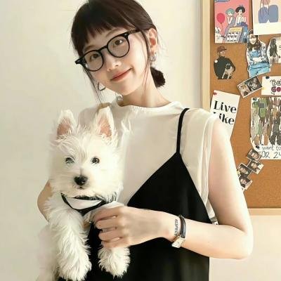 禁欲者海报